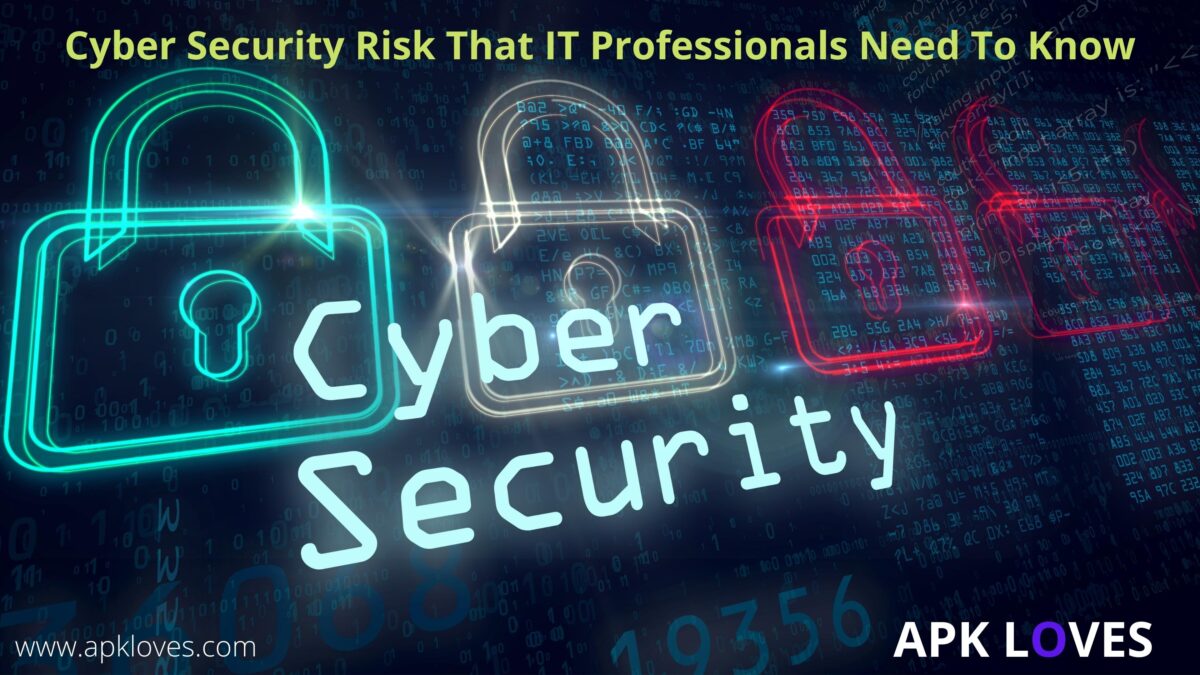 Cyber Security Risk That IT Professionals Need To Know