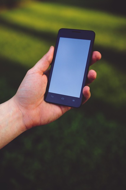 Discover the Best Apps of 2024: Essential Tools for a Seamless and Enhanced Mobile Experience