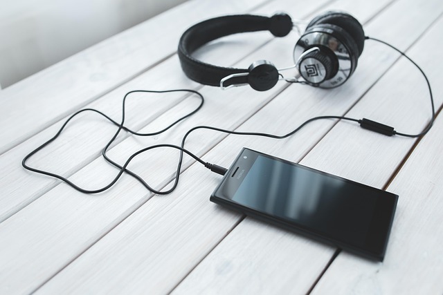 Top Must-Have Apps to Elevate Your Mobile Experience in 2024 and Enhance Everyday Life
